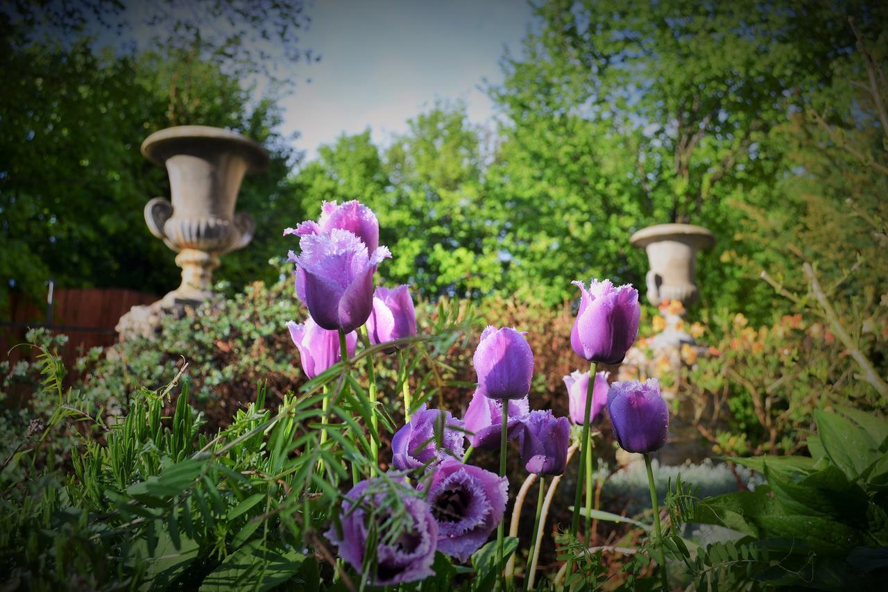 U Zlate Brany Cesky Raj Wellness Hotel Libuň Exterior foto